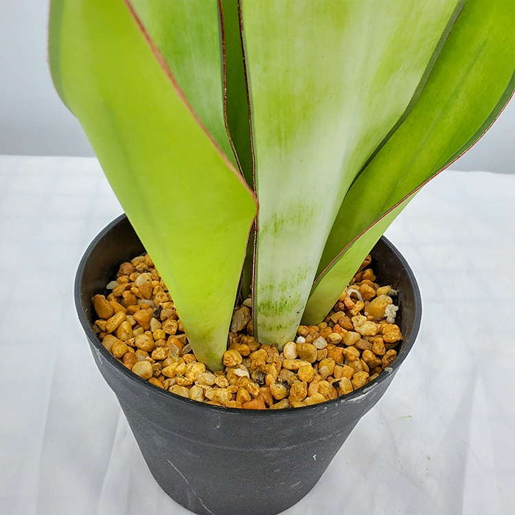 Chinese Lucky Plant Artificial Plant High Quality Snake Plant Plastic Plant