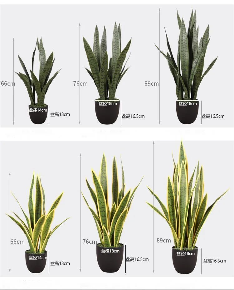 Artificial Table Decoration Plastic Sansevieria Hahnii Snake Plant with Pot for Sale