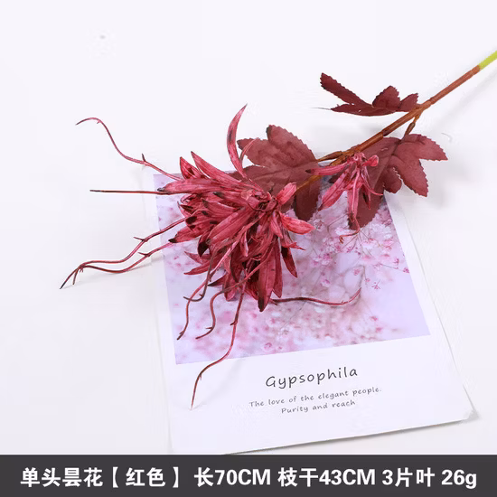 Искусственные настенные растения с листьями зеленой черепахи